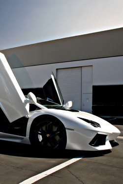 stimulife:  Cocaine White Avi | Photographer