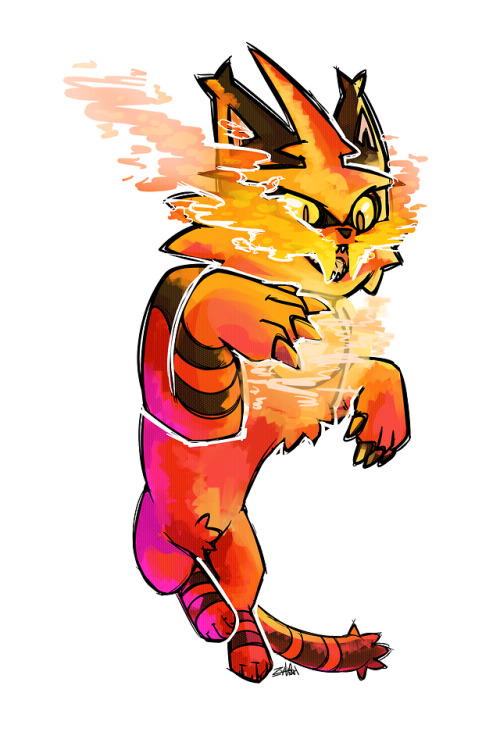 I can’t forget to draw torracat either