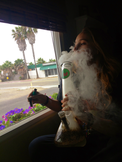 pothead princess adult photos