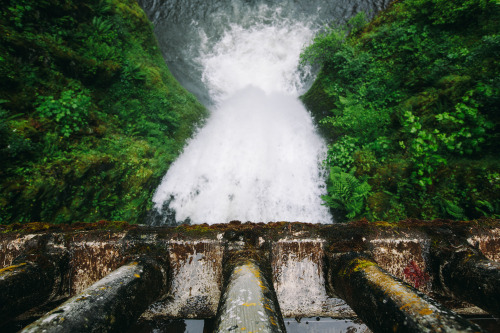 cdelehanty:Multnomah Falls, Columbia River Gorge