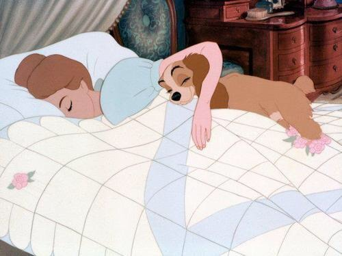 60s-heartshaped-chevrolet:Lady and the Tramp (1955)