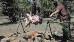 womensfinality:  Roasted girl pig