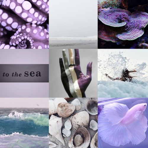 nicolewrites:asexual ocean moodboard - for @felinedetachedthe waves will come and go, but my feeling