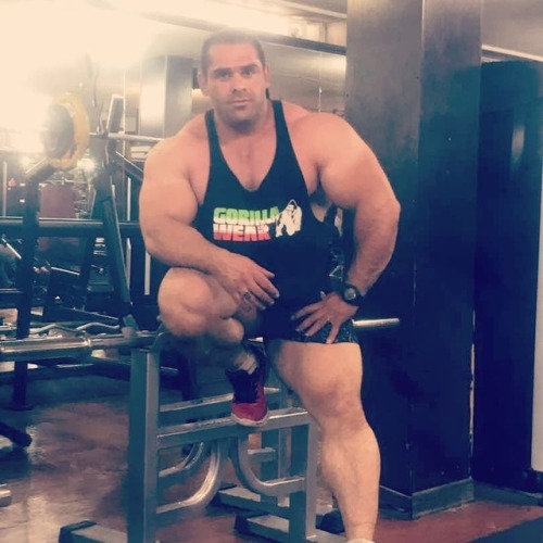 Mehdi Alavi