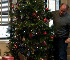 fireflies-and-moonbeam-pies:  How to clean up Christmas Louis CK style.