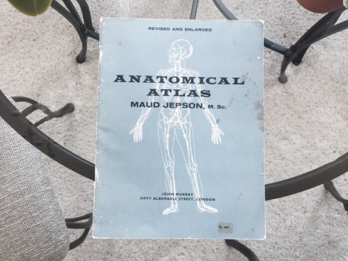 cancerbiophd: an anatomy book from the 1960′s my mom used during nursing school. i love the ha