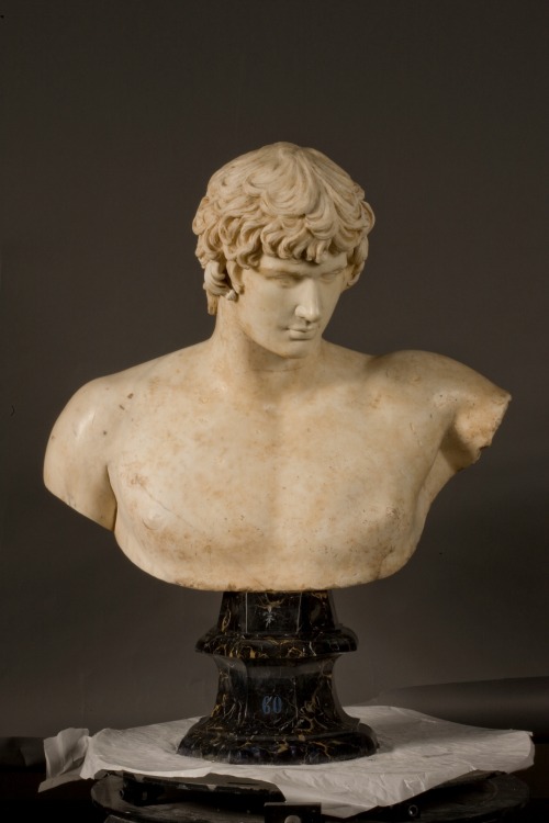 Antinous, Roman, 131-132 CE