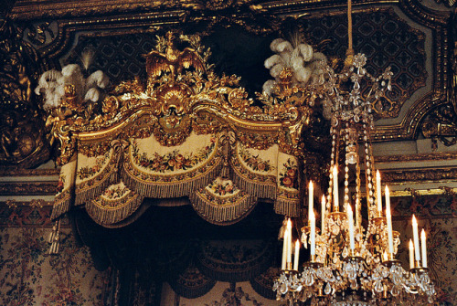 vintagepales2:Versailles by joana kingwell