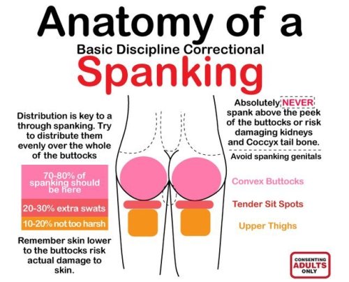 femalelivestock:  A 👌🏿 guide to spanking your slut.