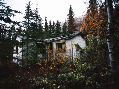 naturechosen: