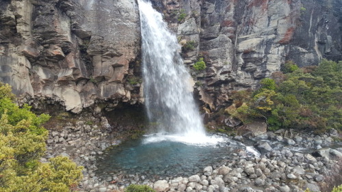 New Zealand is spectacular. My partner and I hiked around Mt Doom, swam in countless hot springs and