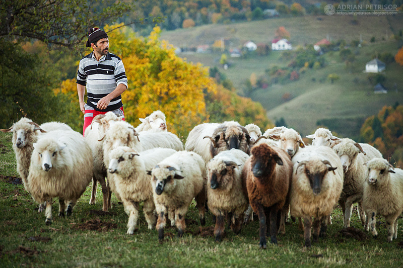 bookofoctober:  October in the Romanian village of Măgura. Photos by Adrian Petrisor