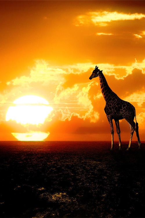 vurtual:  (by Raissa Scholz Portela) 