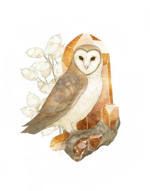 snootyfoxfashion:  Nature Animal Art Prints by Curioseumx / x / x / x / xx / x / x / x / x