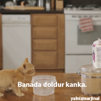 yalnizmarjinal:  Banada doldur kanka :D 
