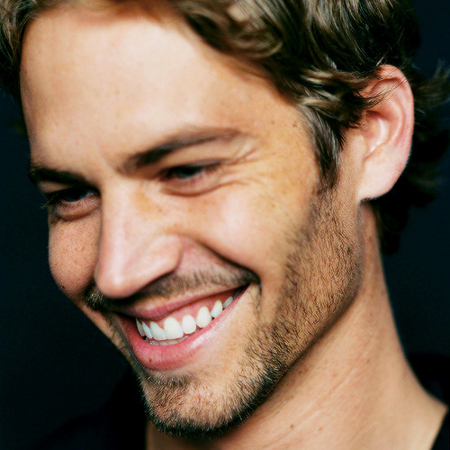 blonde-buddha:  d4ndylion:  taika-waititi: “My philosophy is: If you can’t have fun, there’s no sense in doing it.” Rest In Peace Paul Walker (September 12th, 1973-November 30th, 2013)  Baby:(((  straight beautiful 