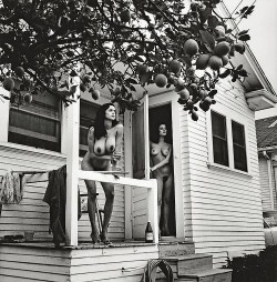 Helmut Newton, „2 Playmates with Lemon