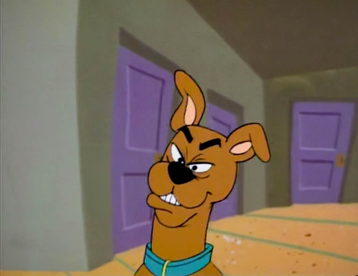 Everything is funny – just look closer™ — Scooby-Doo as a chihuahua.  Scooby-Doo… as a...