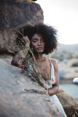 Thelingerieaddict:  In The Desert: A Lingerie Editorial With Michelle Terris Photography