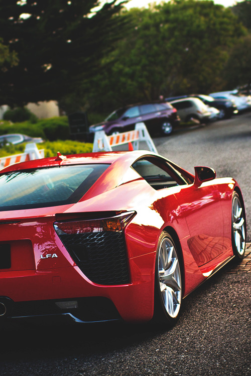 czarluvscurves:  Lexus LFA