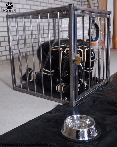 steellock:  mlatexm:  Puppy time  New definition of cats cradle… 