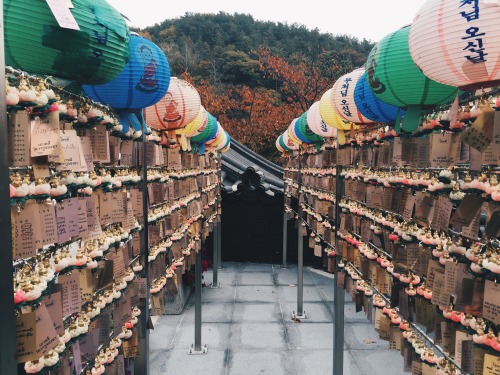 Gyeonggi-do, South Korea // fluoric