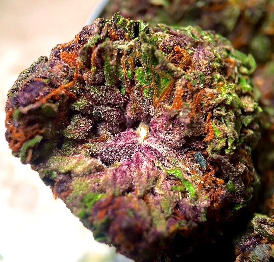 420stationusa:  Stay High And Check Out Our Store Here!!