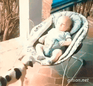 gifsboom:  this is my bed  sw