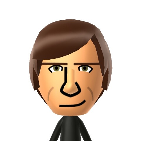 princess leia mii instructions