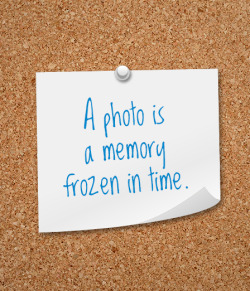 Dell:  Many People Claim To Have A Photographic Memory, But None Were Ever Proven