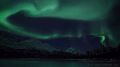 nubbsgalore:polar spirits