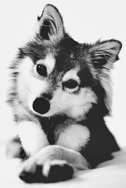 my-love-is-in-your-eyes.tumblr.com/post/114649399046/