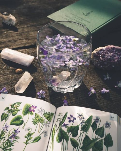 ofcloudsandstars: Woodspell Apothecary ig