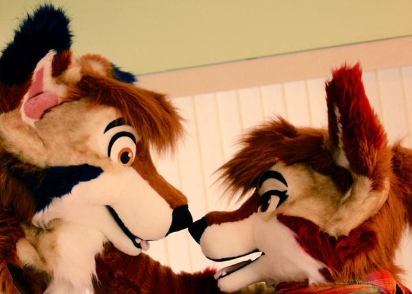 jack-the-lion:  donthugcacti:Bisbee &amp; Chipiltin coyotes - a matching suit