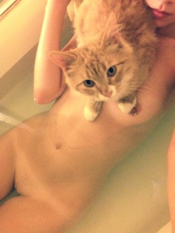 dankgirl420:  ravespirit:  So dexter decided to join me in my bath tonight  Omfg 