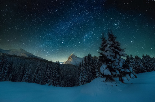 enchanting-landscapes: Winter night by Marco Meneghel