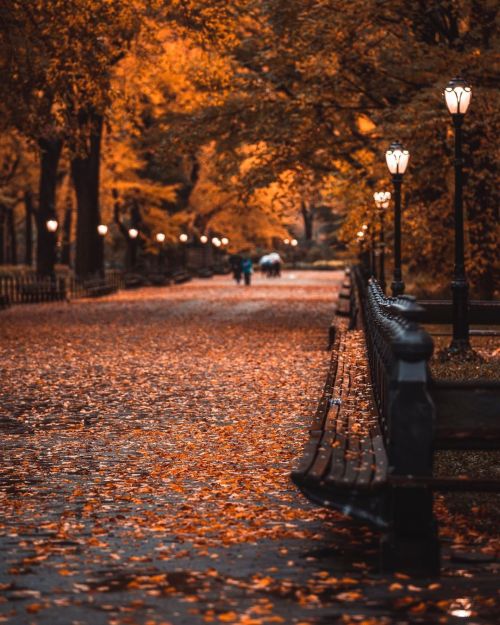 autumncozy:By craigsbeds