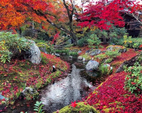 ＼おにわさん更新情報／ ‪[ 京都市右京区 ] 宝厳院庭園“獅子吼の庭” Hogoin Temple Garden, Kyoto の写真・記事を更新しました。 ーー嵐山⛰の借景の美しい回遊式庭園。現代