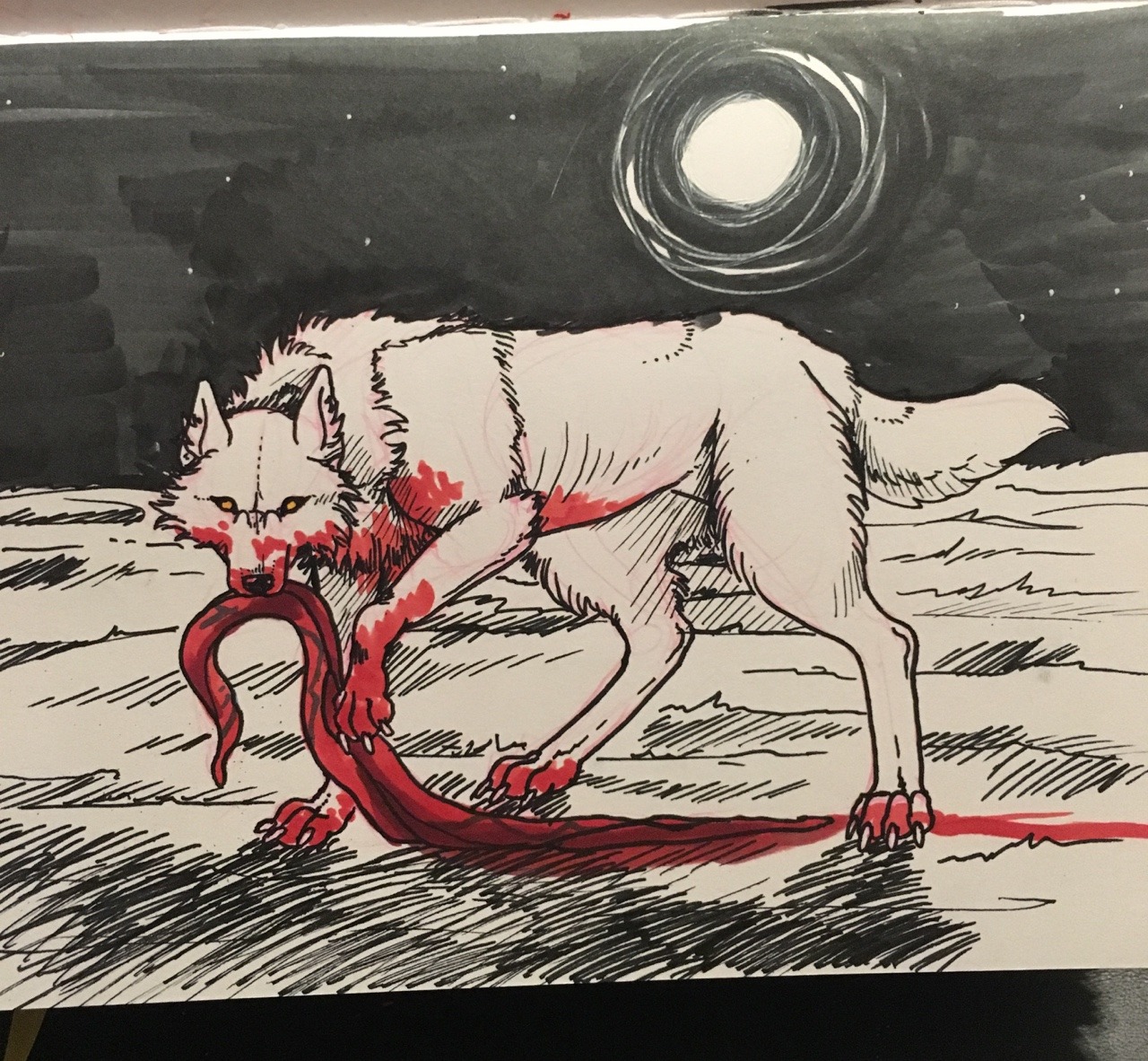 inkeyeliner:  It’s a full moon tonight…