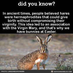 did-you-kno:  In ancient times, people believed