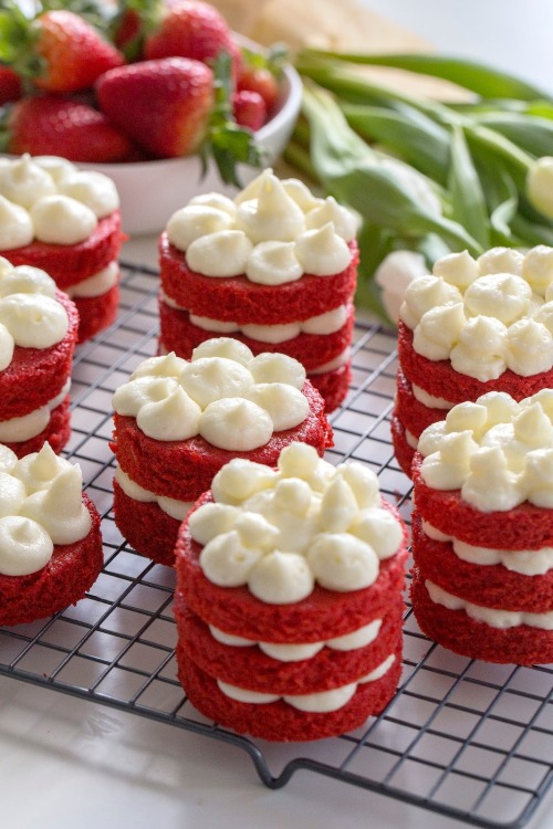 Sex sweetoothgirl:    MINI RED VELVET CAKES  pictures