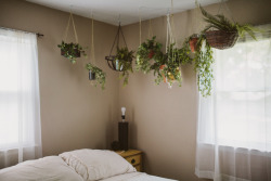 langste:  Hanging Garden 