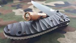 pocketdump-patrol:  New Scales and Saber