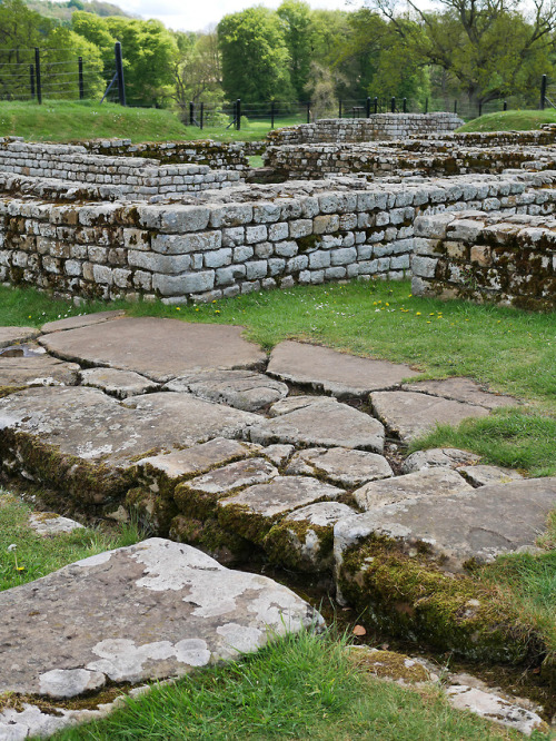 Barracks and Stables, Chesters Roman Fort, Hadrian’s Wall, 13.5.18.