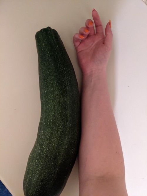 sergle:sergle:  Look at this fucking zucchini