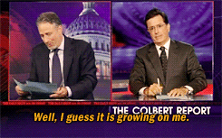 fyjonstewart:  the toss of the week↳ jon’s beard 