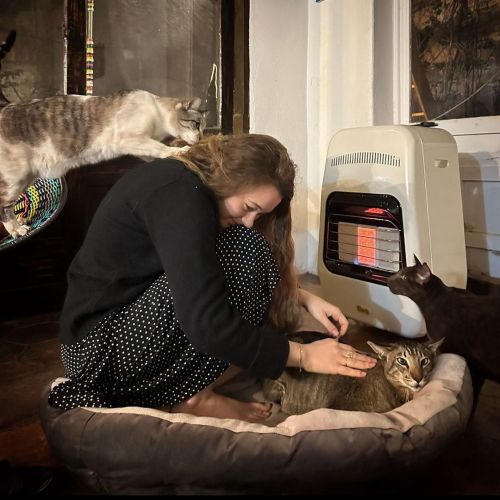 Amelia sharing the heater with Balam as Chaska asks Amelia to make room and Roo enjoys eating Amelia’s hair. It’s cold here now! Wonderful to be together to meet Phaedra’s family as we admire her charitable projects to give cats better lives and help...