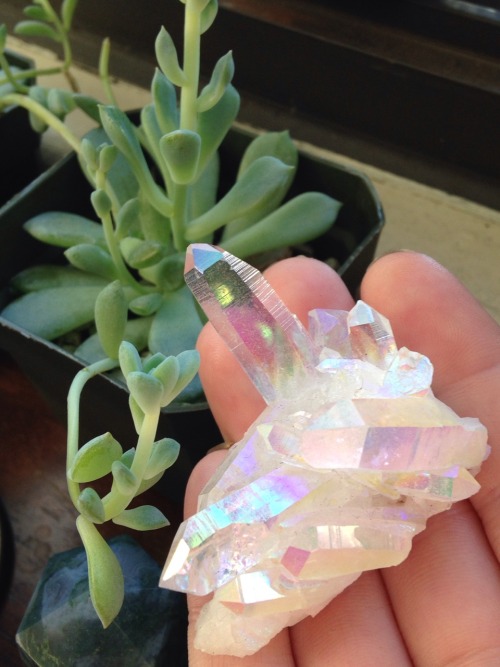 lavenderwaterwitch - Angel Aura Quartz and my over grown...