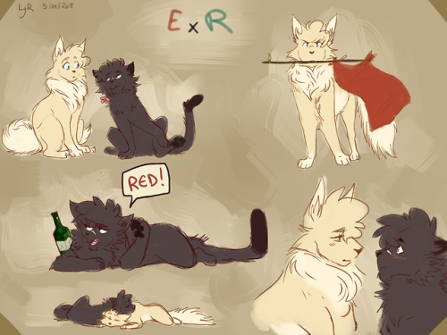 hello it’s too hot here so I drew some Catjoltaire I usually drew cats before falling into Les Mis f
