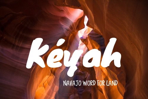 It’s the Land Summit, so here’s the Navajo word for “"land!”https://navajowotd.com/word/k